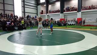 2024 OFSAA Wrestling  Tablet 5 [upl. by Anotal]