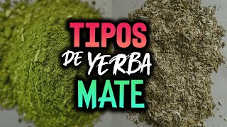 TIPOS DE YERBA MATE 🧉 [upl. by Virgilia]