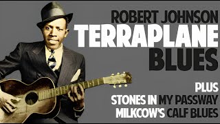 Terraplane Blues Robert Johnson  taught by Tom Feldmann [upl. by Asiilanna]