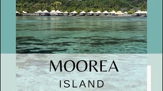 Moorea Island [upl. by Ariay]