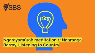 Ngarayamūrah meditation 1 Ngaranga Barray Listening to Country  Great Minds [upl. by Itsa]