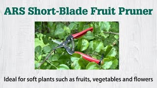 ARS Shortblade Fruit Pruning Shears  Get it at Gemplers [upl. by Lock151]