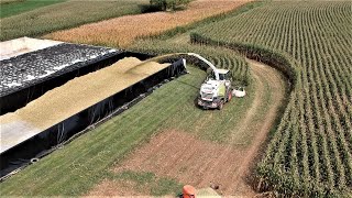 Corn Silage Harvest Efficiency [upl. by Bertold]