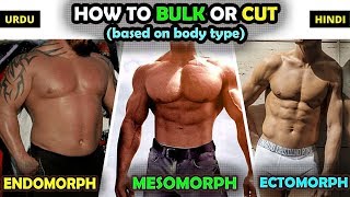 How to BULK or CUT based on Body Type Ectomorph Mesomorph Endomorph [upl. by Kihtrak480]