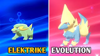 Electrike Evolution In Pokemon Sword amp Shield  Galar Pokedex [upl. by Aniluap]