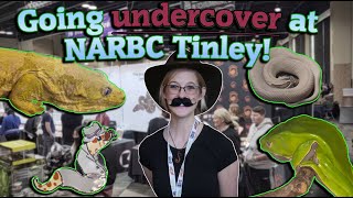 Tinley Park MARCH Reptile Show UNCUT NARBC 2022 [upl. by Arihay]