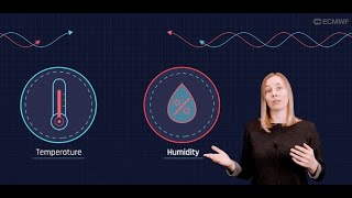 Process Representation in DestinE  ECMWF Birgit Sutzl [upl. by Nivla990]