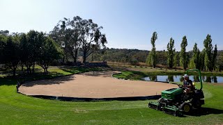 Its Looking Pure at Day 25  The Bentgrass Has Germinated [upl. by Ennoitna]