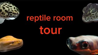 reptile room tour [upl. by Telocin]