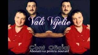 COSTI IONITA amp VALI VIJELIE amp ADRIAN MINUNE  OF OF OF MOR TOTI TIGANII OFFICIAL TRACK [upl. by Stefano]