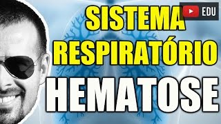 Vídeo Aula 105  Anatomia Humana  Sistema Respiratório  Hematose A Troca de Gases nos Pulmões [upl. by Ynneh149]