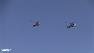 Formation FlightSH60 Seahawk amp UH60 Black HawkCH47 Chinook 航空観閲式2014 [upl. by Notecnirp]