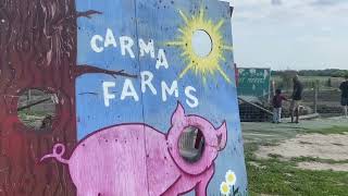 Let’s Visit Carma Farms at Stouffville Ontario 🇨🇦  Travel Vlog [upl. by Akcirahs]