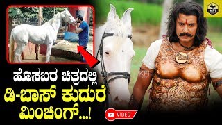 Darshan Horse Will Shine In New Kannada Movie Badal  Challenging Star Darshan  Darshan Farm House [upl. by Hatti]