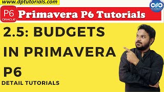 25  Primavera Learning  Budgets in Primavera P6  Primavera tutorials [upl. by Corny714]