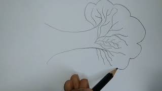 how to draw a picture part 1 [upl. by Lehcem]