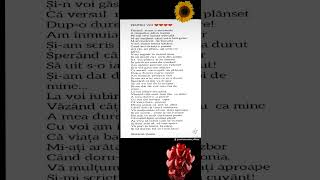 Pentru voi poezie mulțumesc [upl. by Eiramlehcar]