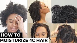 The ONLY Video You Need on How to Moisturize DRY 4C Natural Hair  DETAILED TUTORIAL 🙌🏽 💦 [upl. by Pam]