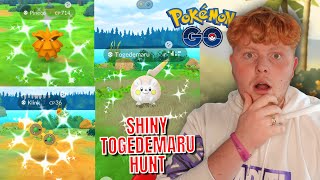 AMAZING Shiny Rate SHINY Togedamaru Hunt Pokémon Go [upl. by Blasius607]