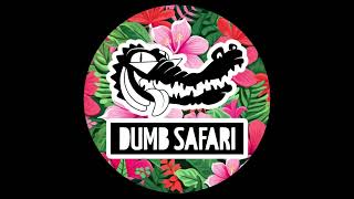 MEES MATTERN  DA SLAPPER DUMB SAFARI [upl. by Annahpos]