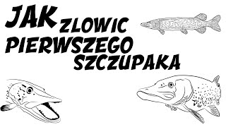 Jak złowić pierwszego Szczupaka  Poradnik dla początkującego Spiningisty [upl. by Essy]