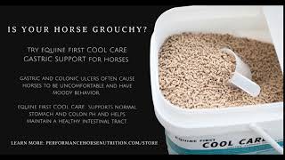 PHN® Equine First Cool Care [upl. by Essyle]