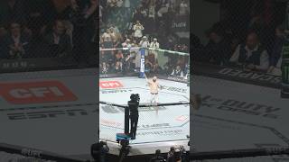 Chimaev vs Whittaker ufc mma мма chimaev [upl. by Ayital]