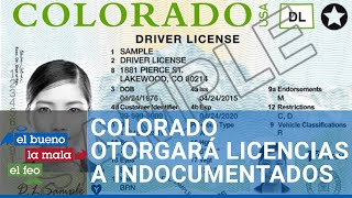 Colorado entregará licencias a indocumentados con requisitos fáciles de obtener [upl. by Rosalynd477]