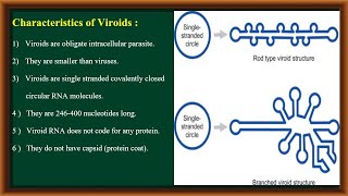 Viroids [upl. by Franni]