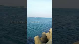 Shore Fishing fishing shorts youtubeshorts ytshorts [upl. by Annatnom71]