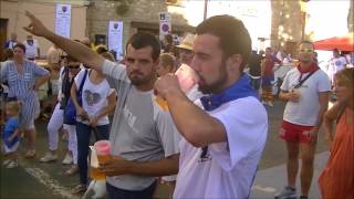 La Banda Els Tirons à la Feria de Céret 2017 quotQue je taime amp Lenviequot [upl. by Nomit]