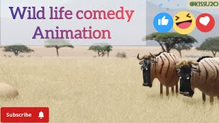 WILD ANIMALS ANIMATION • FUNNY COMEDY animals animation comedy video [upl. by Rubin]