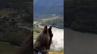 Watch paraglider launch and fly over Lake Bohinj [upl. by Abbotsun]