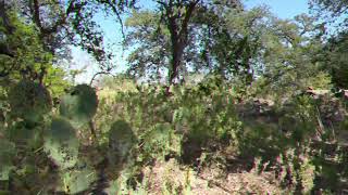 Tumbleweed Ranch Dale Texas [upl. by Arrim]