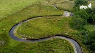 River restoration and natural flood management programme at Townfoot [upl. by Ahsakal]