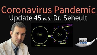 Coronavirus Pandemic Update 45 Sharing Ventilators More on Sleep Immunity amp COVID19 Prevention [upl. by Hsinam265]