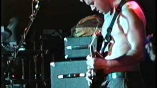 sublime  Saw Red Scarlet Begonias live in Santa Cruz 95 [upl. by Joby700]