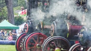 Abergavenny Steam Rally 2023 Steam Engines [upl. by Ellimaj]