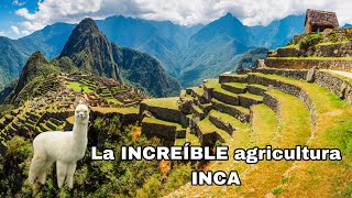 La INCREÍBLE agricultura INCA [upl. by Vargas812]