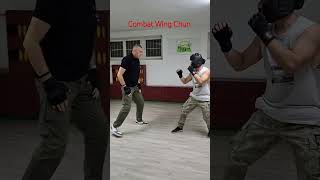 Wing Chun Naumov 🇲🇰 Learn Combat Wing Chun2024 wingchun wingchunkungfu martialarts [upl. by Saduj303]