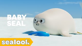 Teeny Tiny Tough Baby Seal  Baby Seal Special  SEALOOK  Episodes Compilation [upl. by Lartnom]