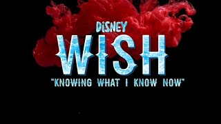 Knowing What I Know Now is BAD  Wish Review [upl. by Changaris]