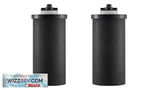 VEVOR Purification Water Filter Replacement for Gravity Filter System 2 Review [upl. by Vez778]