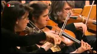 Bach St Matthew Matthäus Passion BWV 244 Herreweghe YouTube [upl. by Alaaj917]