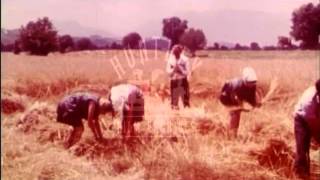 Katerini in Greece late 1960s Archive film 94115 [upl. by Griffin]