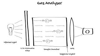 How does Waveform Capnography work [upl. by Akilaz]