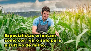 Especialistas orientam como corrigir o solo para o cultivo de milho [upl. by Icam]