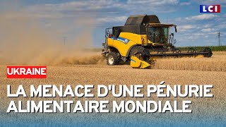 Bientôt une pénurie alimentaire mondiale [upl. by Frasier]