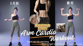 Arm Cardio Workout [upl. by Kentiga580]