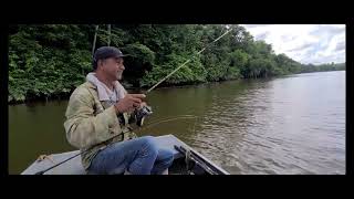 LAARWIJK  SURINAM RIVER  KOEBI HUNTING [upl. by Lacy]